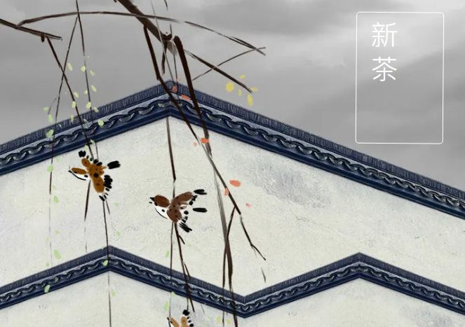 太極莊新菊上市！白菊婉清顏，芳香滿庭院